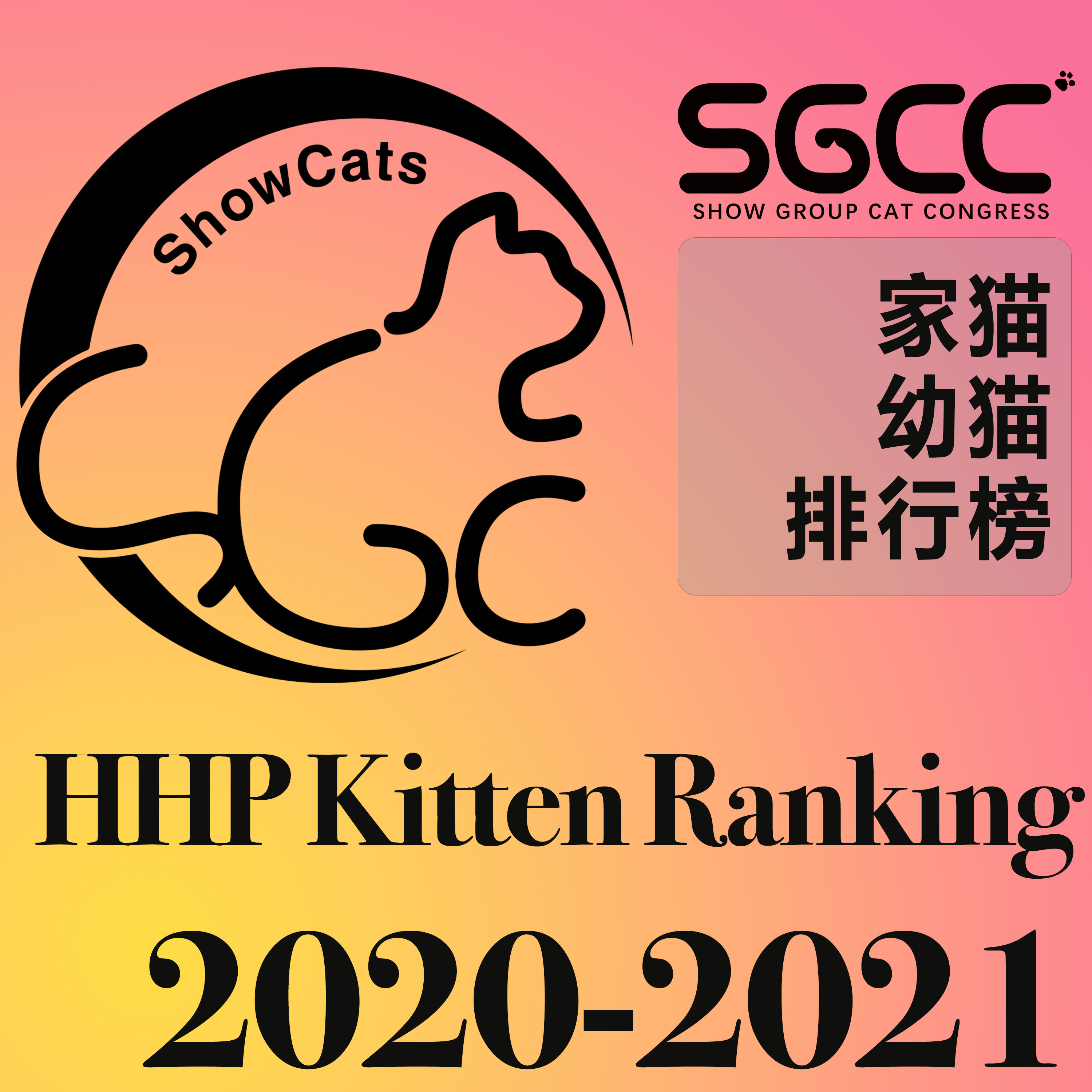 家猫幼猫/Household Pet Kitten