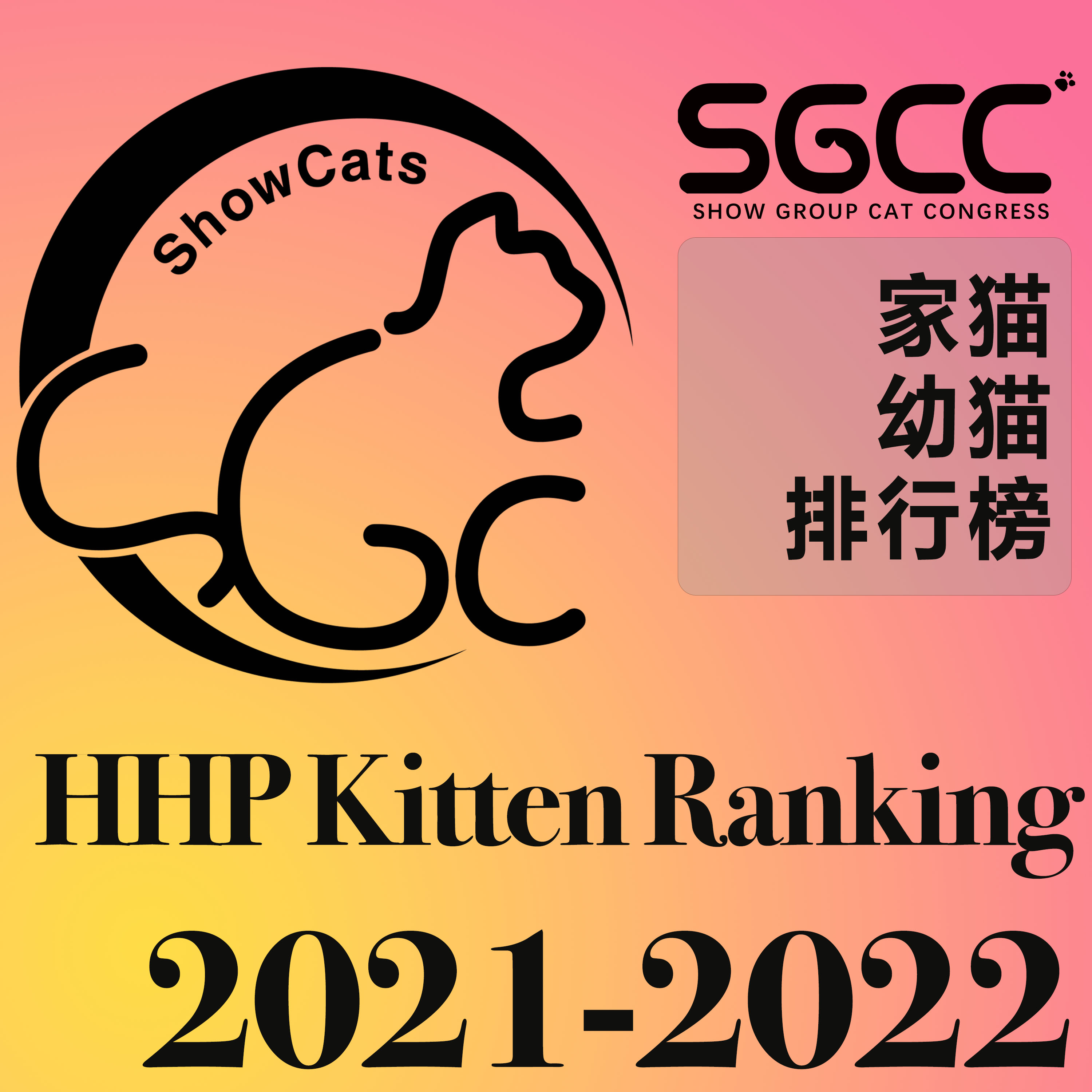 家猫幼猫/Household Pet Kitten